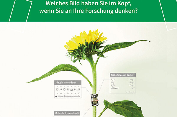 Fotomontage einer Sonnenblume mit Sensoren